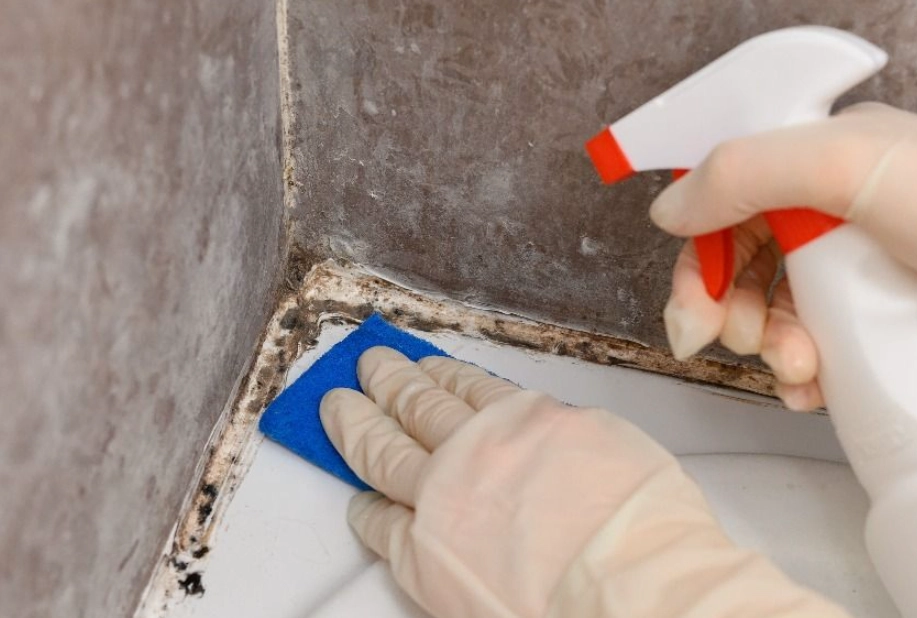 漂白水除霉比例