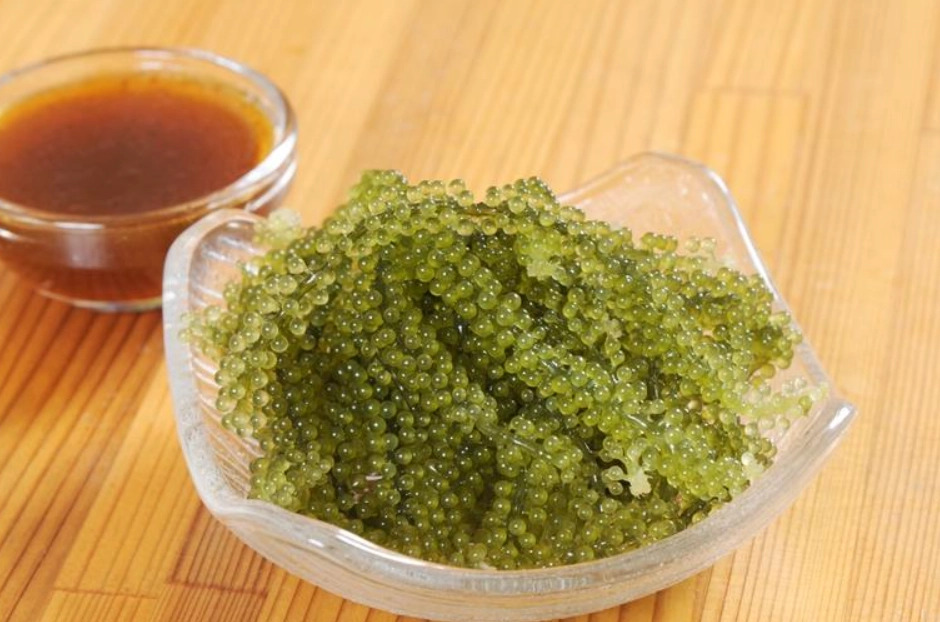 台灣海葡萄料理