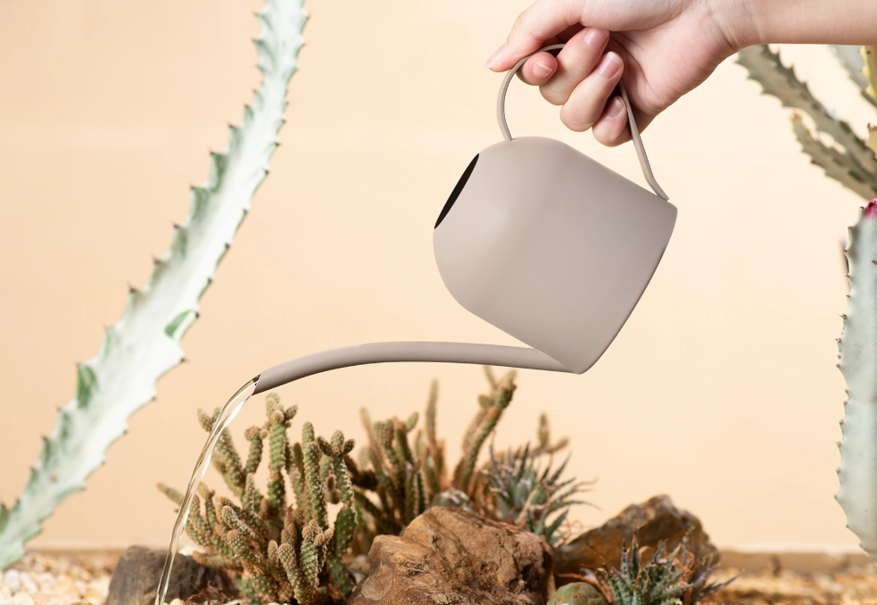 澆水方法 澆水方法