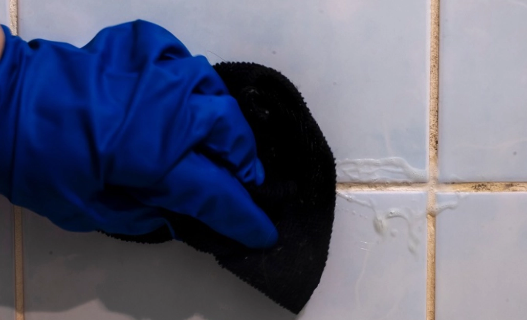 天然除霉方法 天然除霉方法