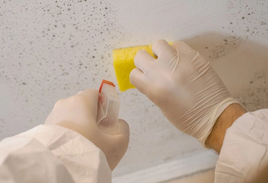 浴室除霉方法