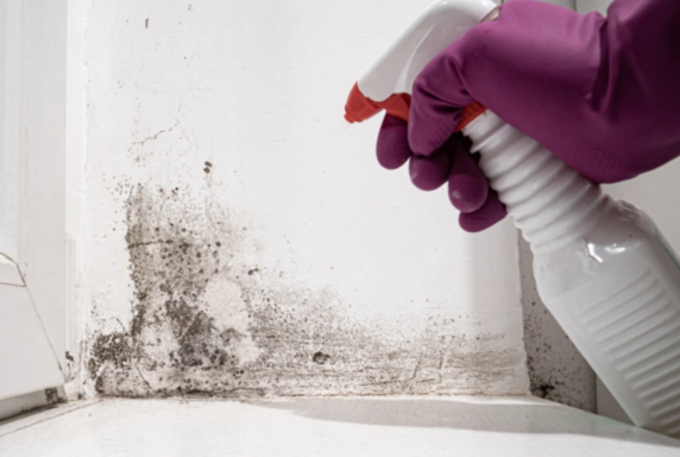 漂白水除霉比例