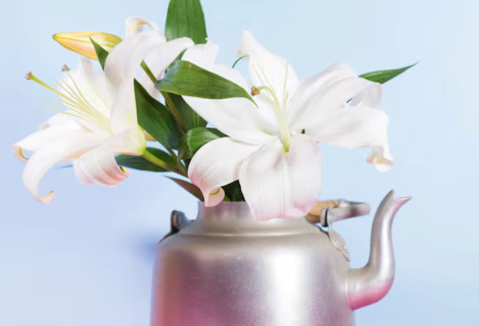 百合花對狗有毒