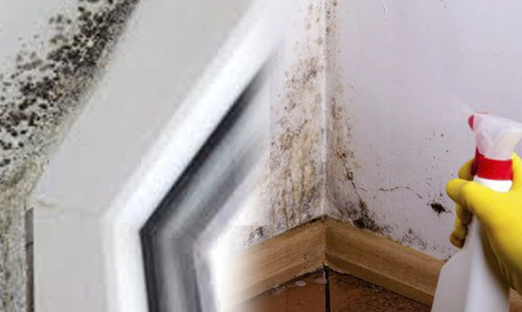 漂白水除黴方法