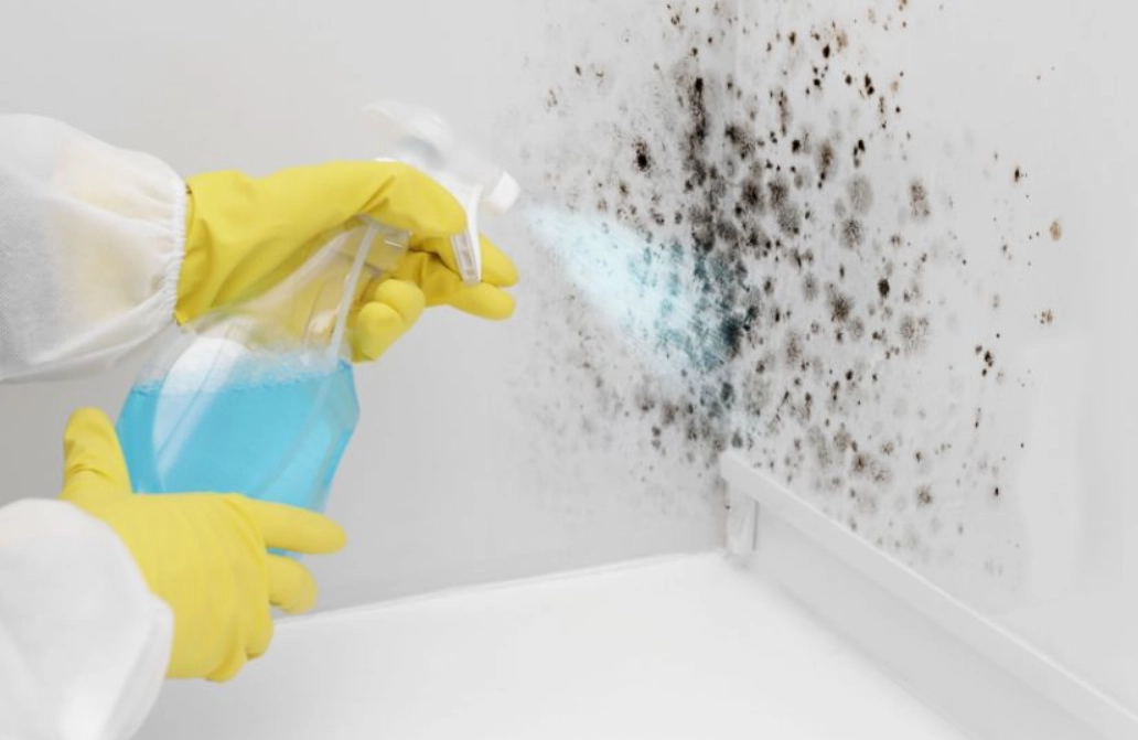 漂白水黴菌原理