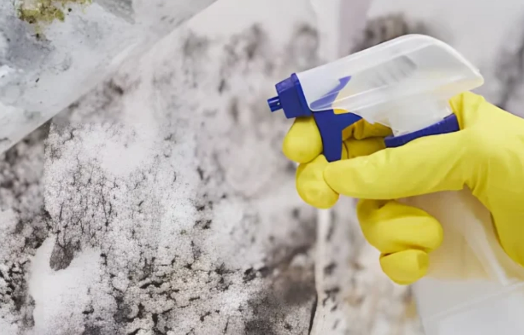 漂白水消毒原理