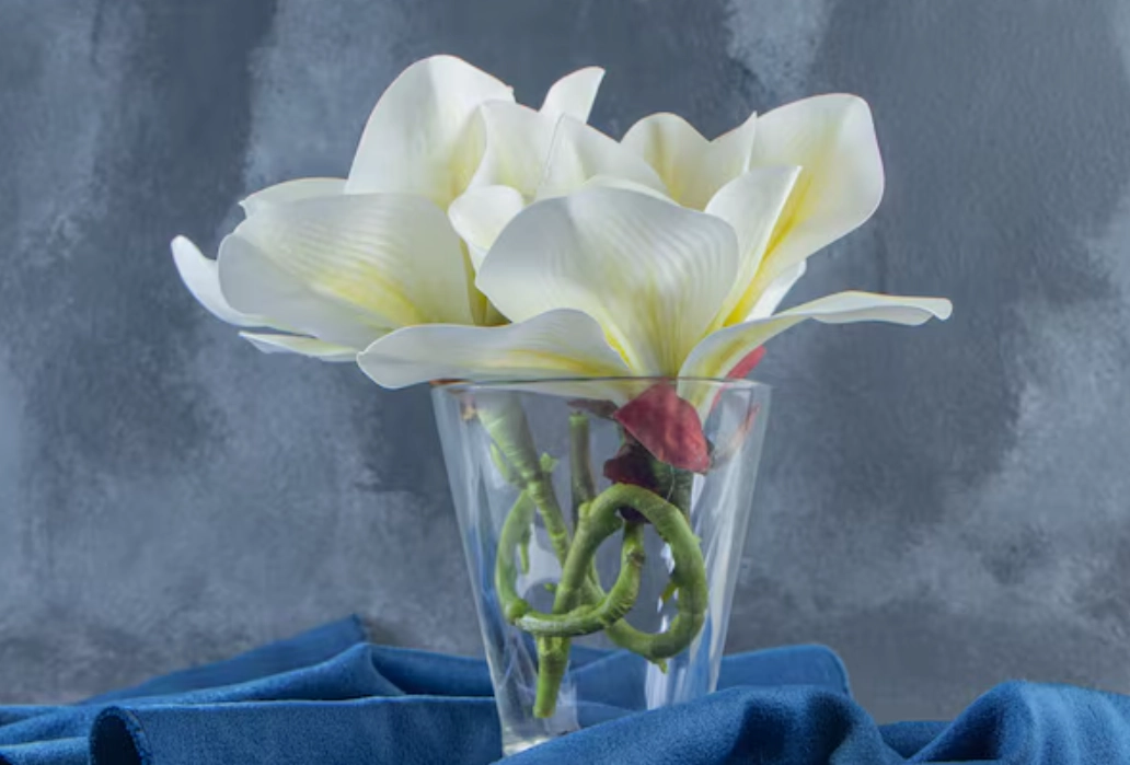 百合花對狗有毒