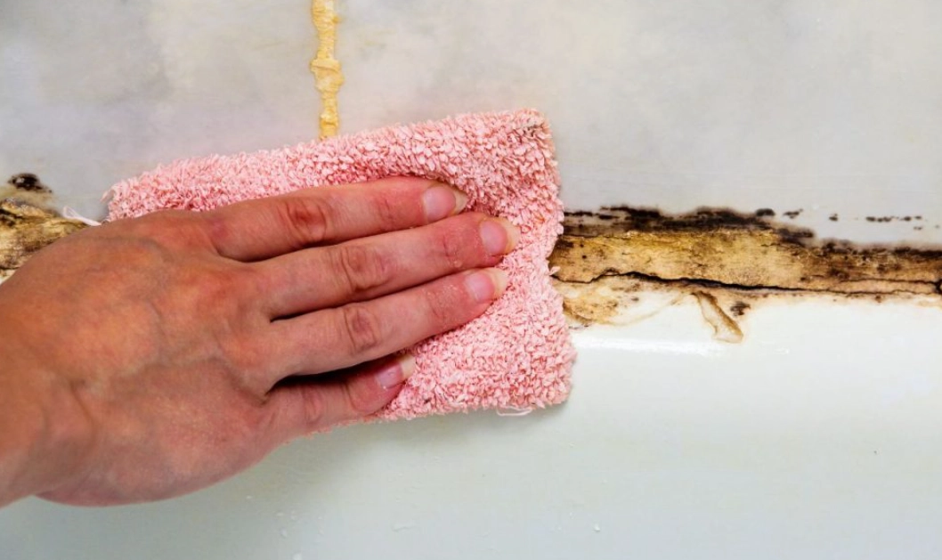 小蘇打除霉方法 小蘇打除霉方法