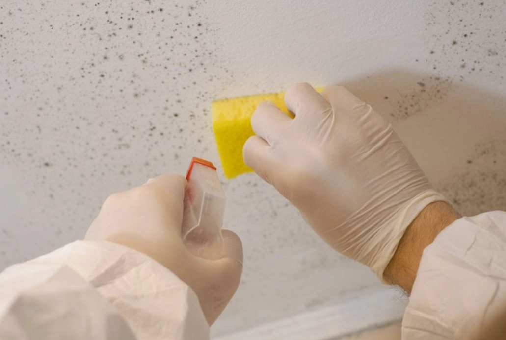 漂白水消毒原理