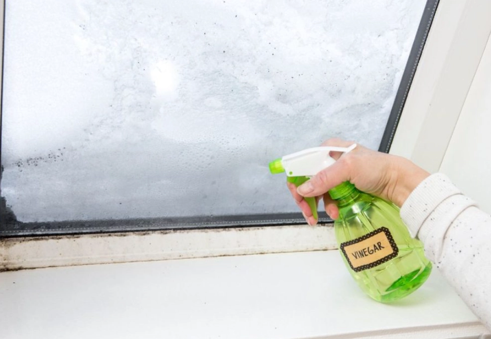 漂白水消毒原理