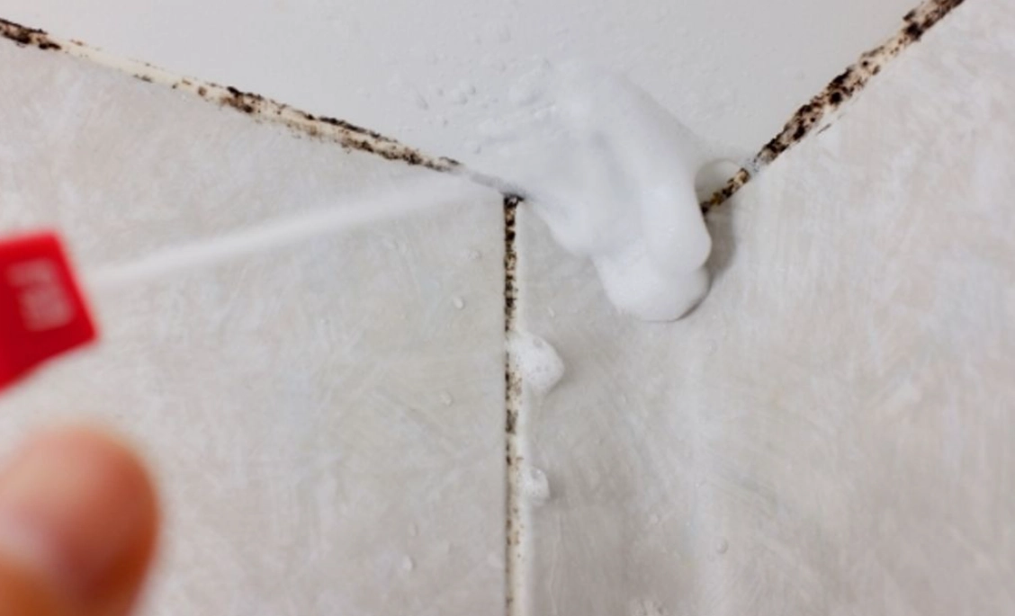 天然除霉劑 天然除霉劑