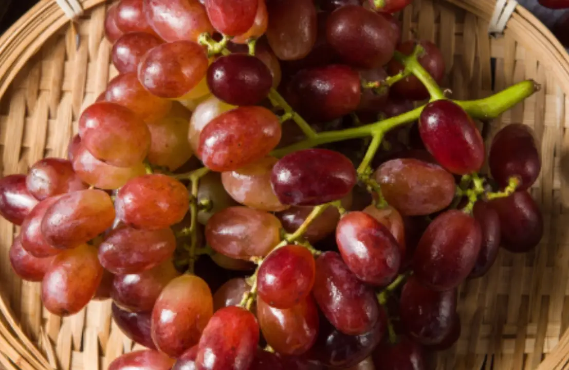 無核提子安全性