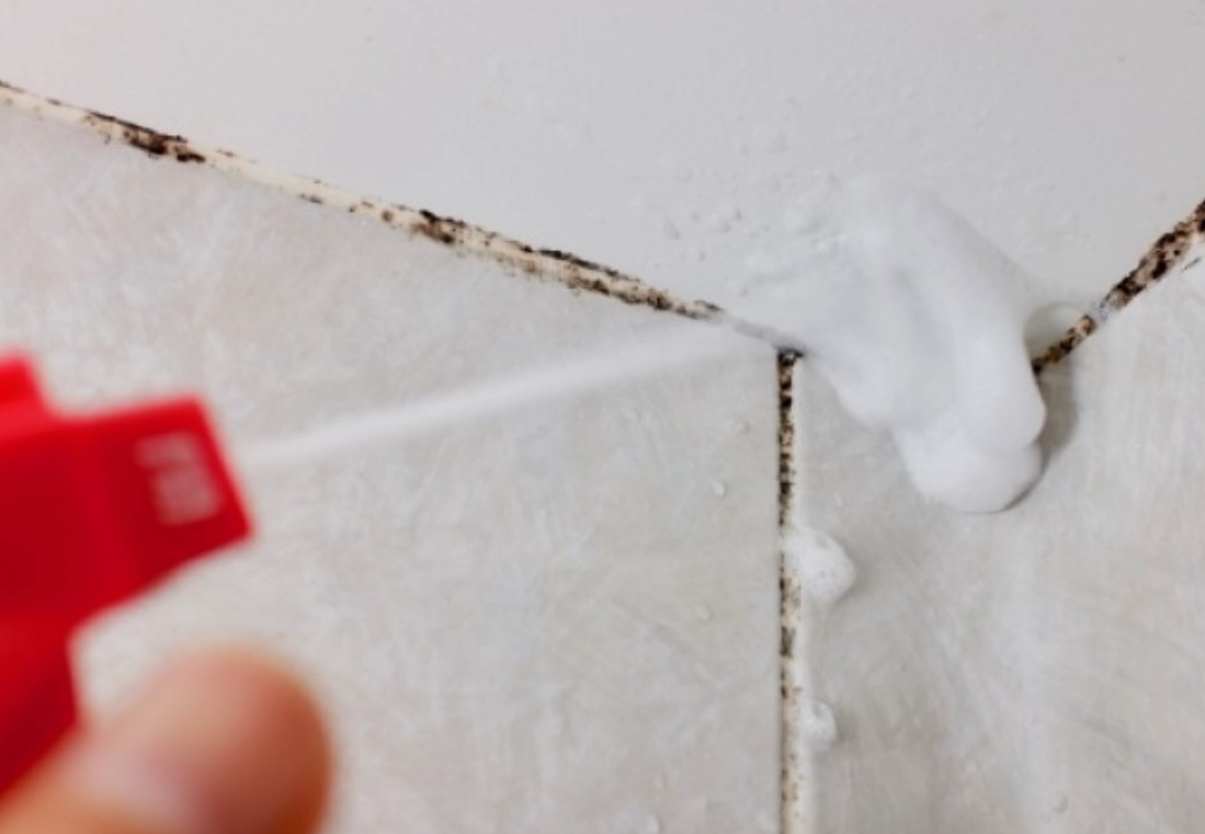 浴室黴菌清潔劑