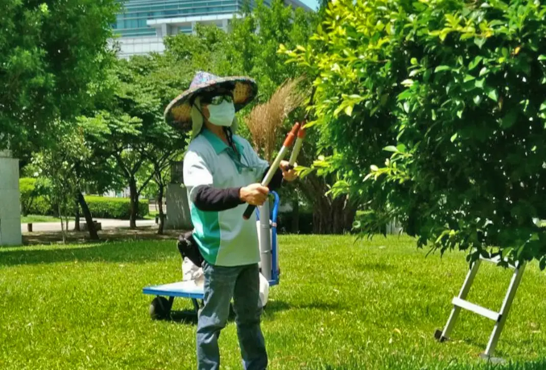 園藝修剪技巧 園藝修剪技巧