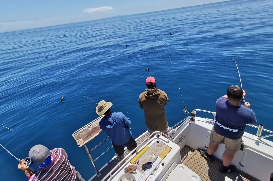 釣魚 夢境 意義