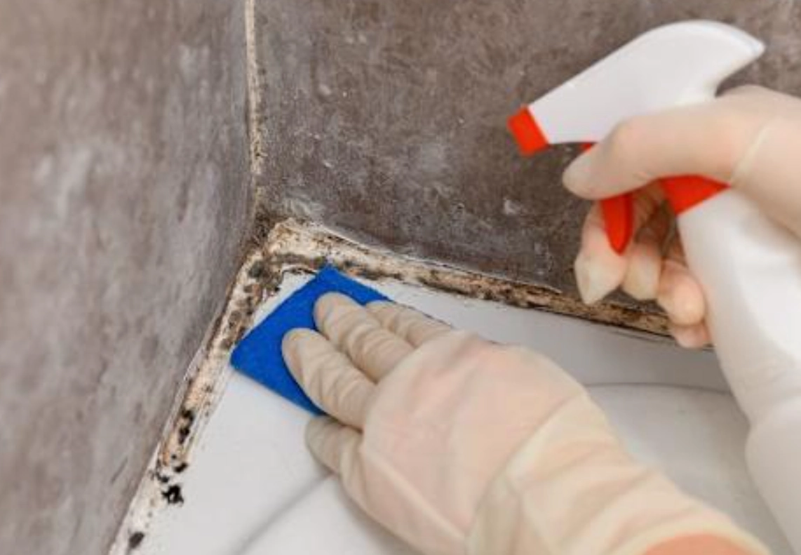 浴室清潔劑推薦