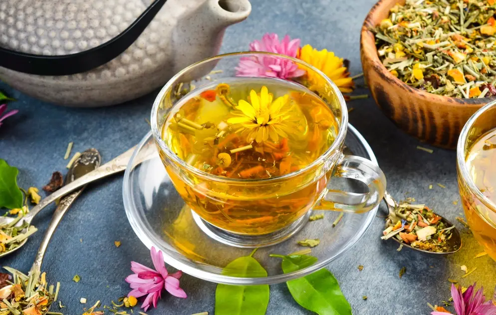 狗菊花茶怎麼泡