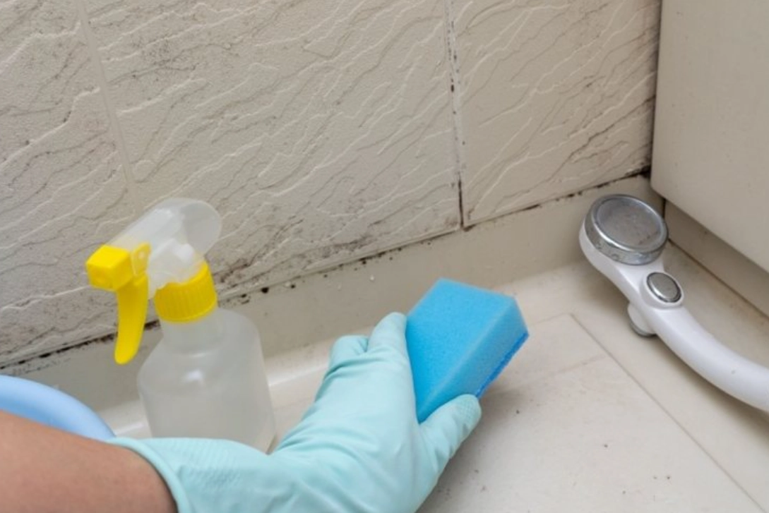 浴室清潔技巧 浴室清潔技巧