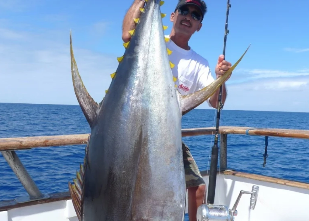 夢見別人釣到大魚：深度解夢與生活啟示全攻略