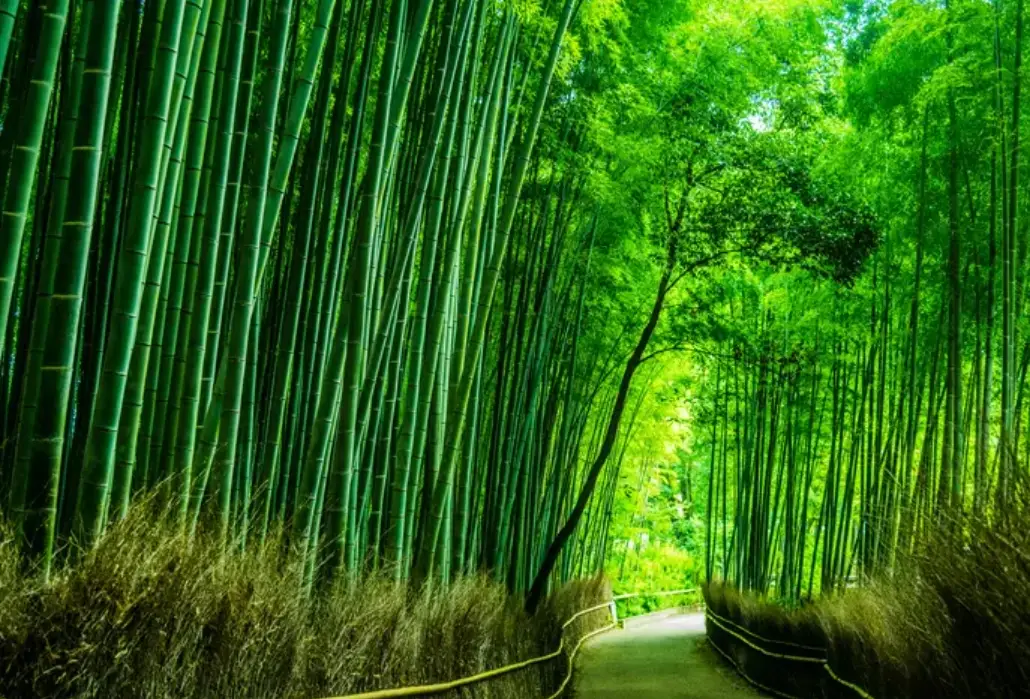 慢成長智慧 慢成長智慧