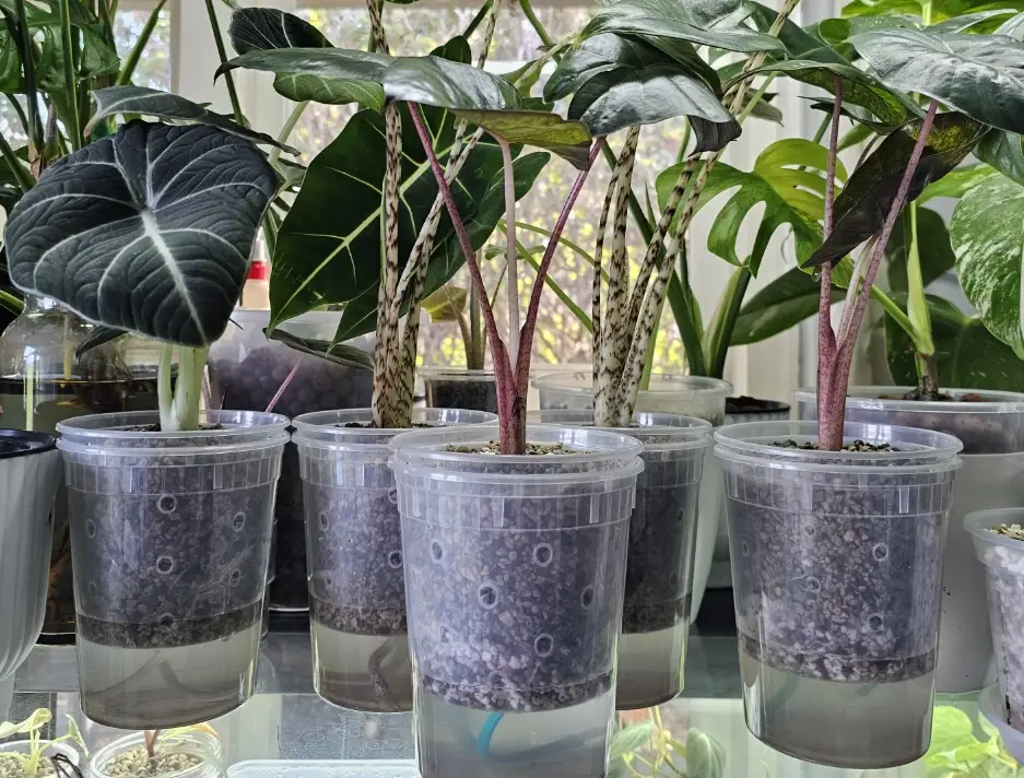 DIY自動澆水花盆