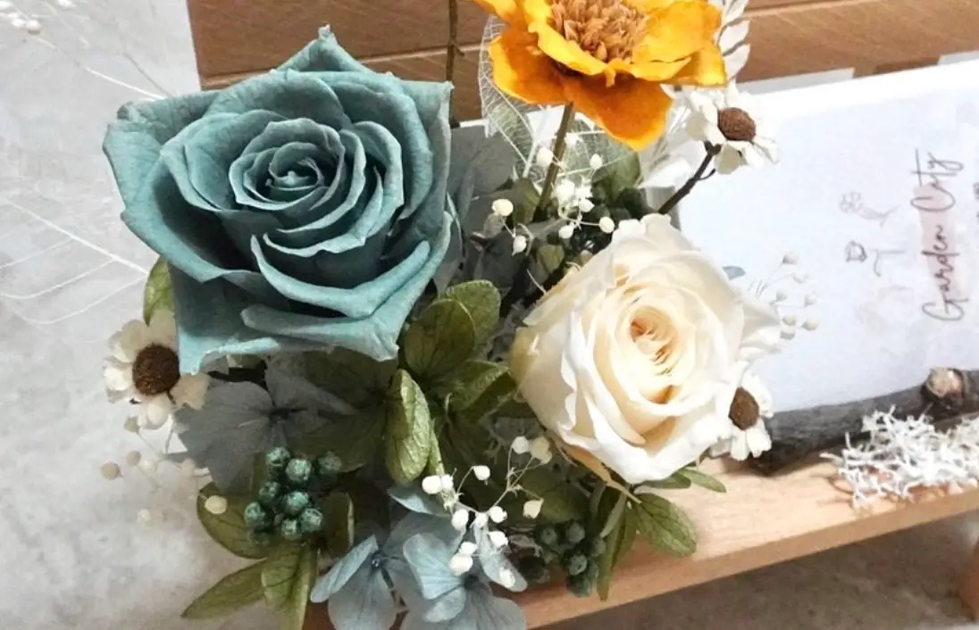 辦公室植物風水