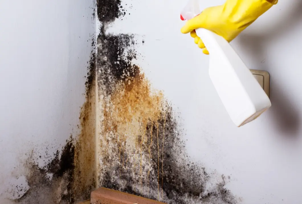 漂白水使用安全