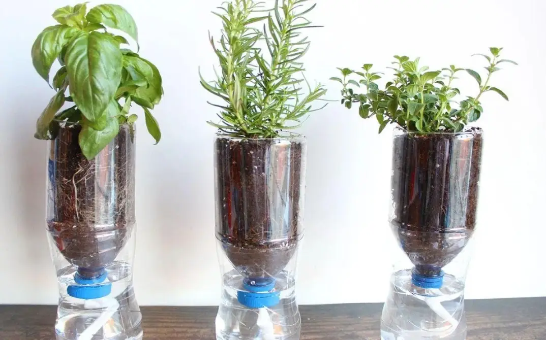 自動吸水花盆缺點