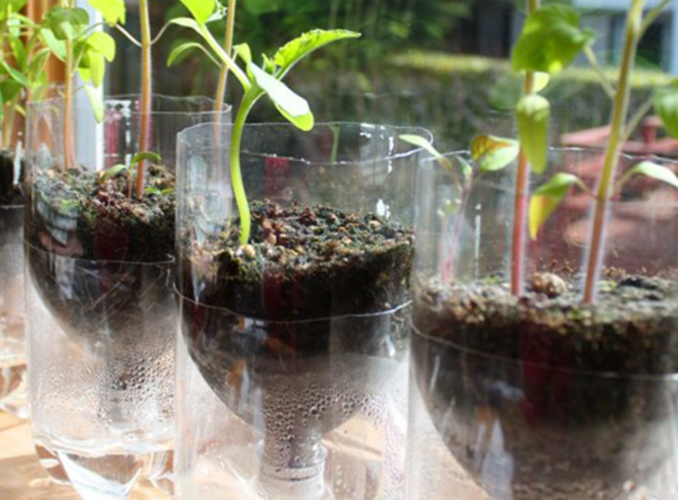 DIY自動澆水花盆