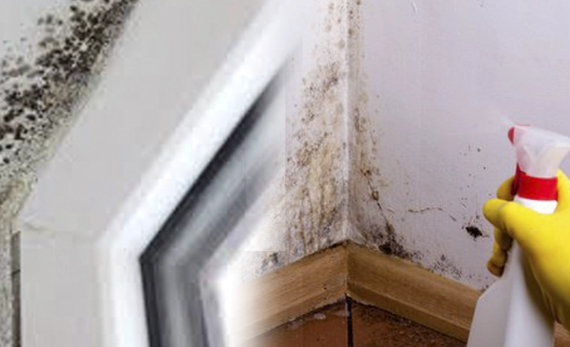 漂白水除黴比例