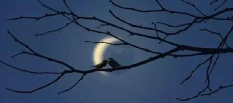 喪親夢境心理學