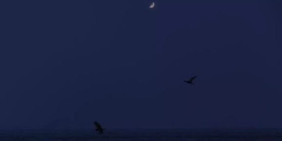 夢見死去的母親解夢