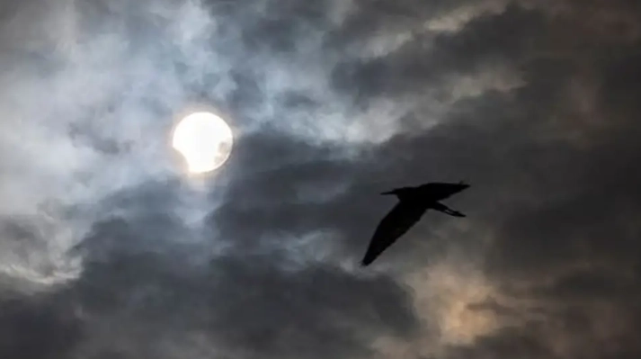 夢見死去的母親