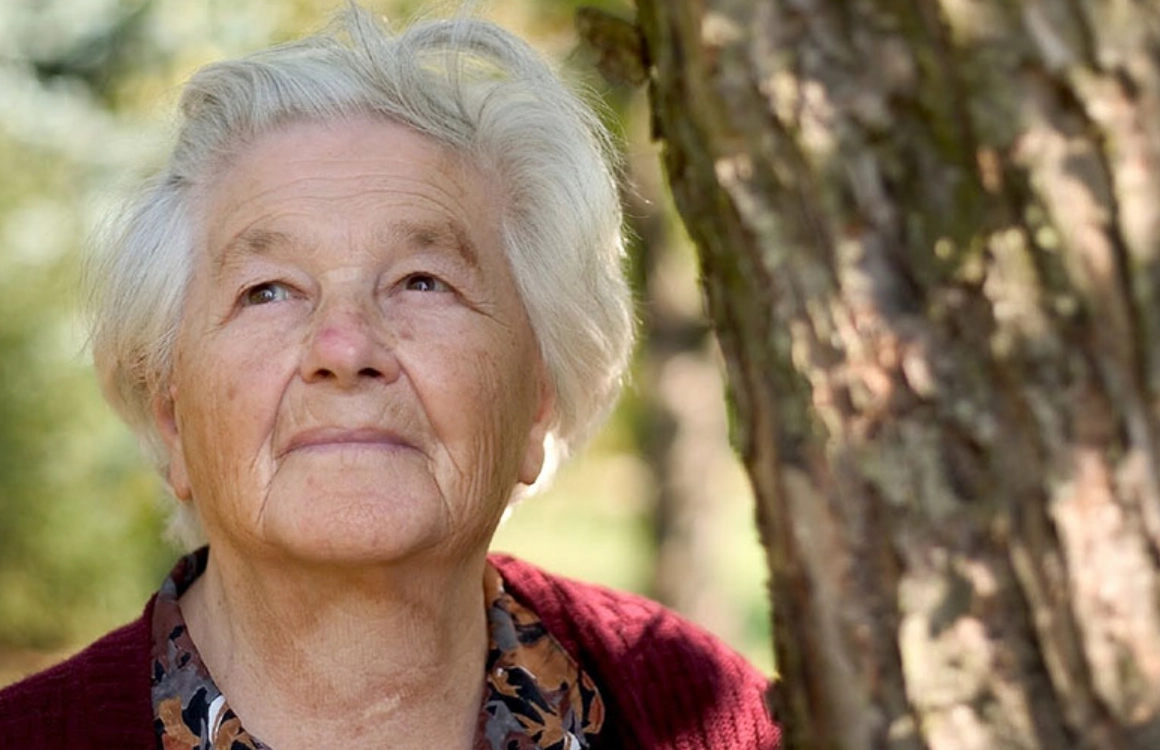 夢境解析母親復活