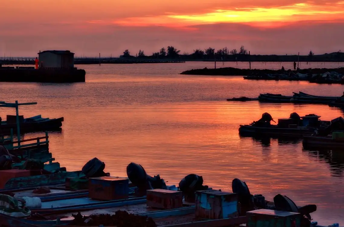 蘆竹溝蚵棚景觀