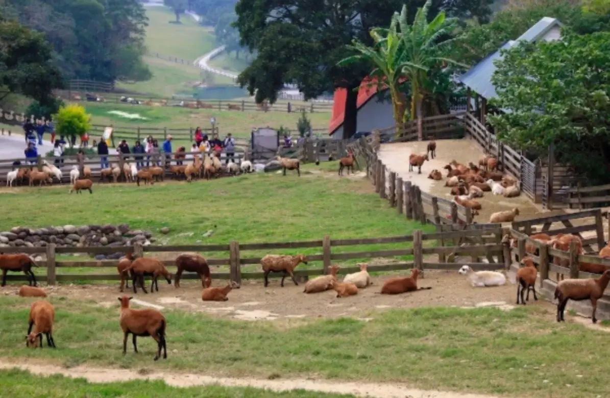 台中休閒農場推薦