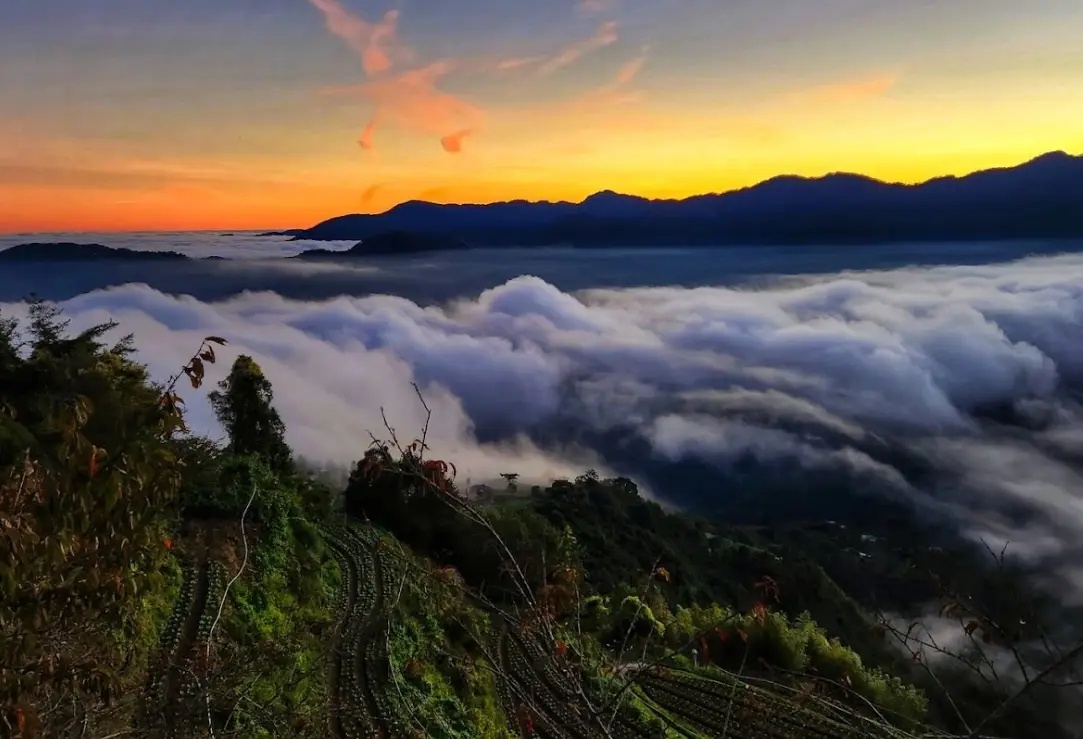 雪霸休閒農場最佳旅遊月份全攻略：四季特色與行程建議