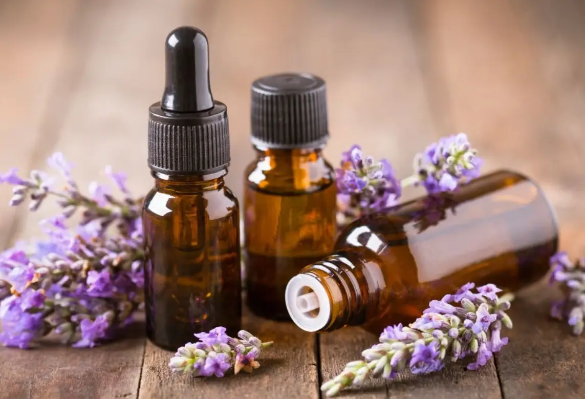 薰衣草精油對貓咪有害嗎