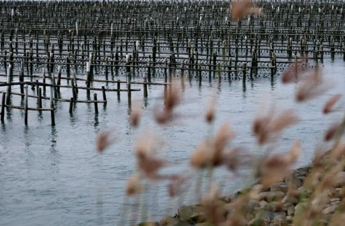 蘆竹溝潮汐時間