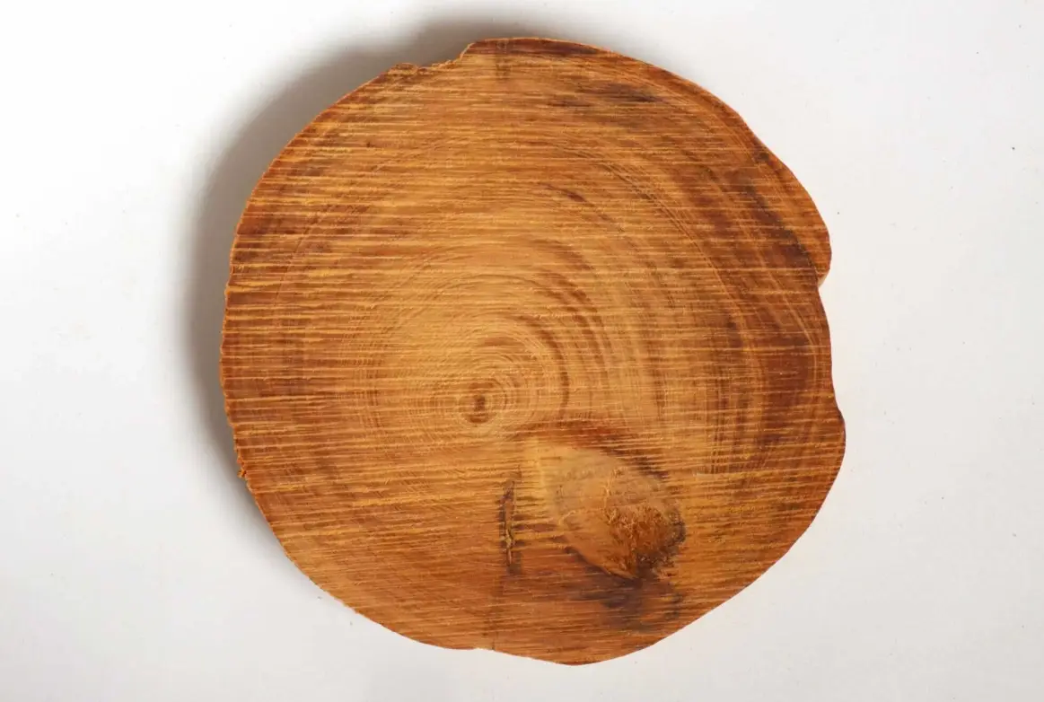 寵物 安全 檜木