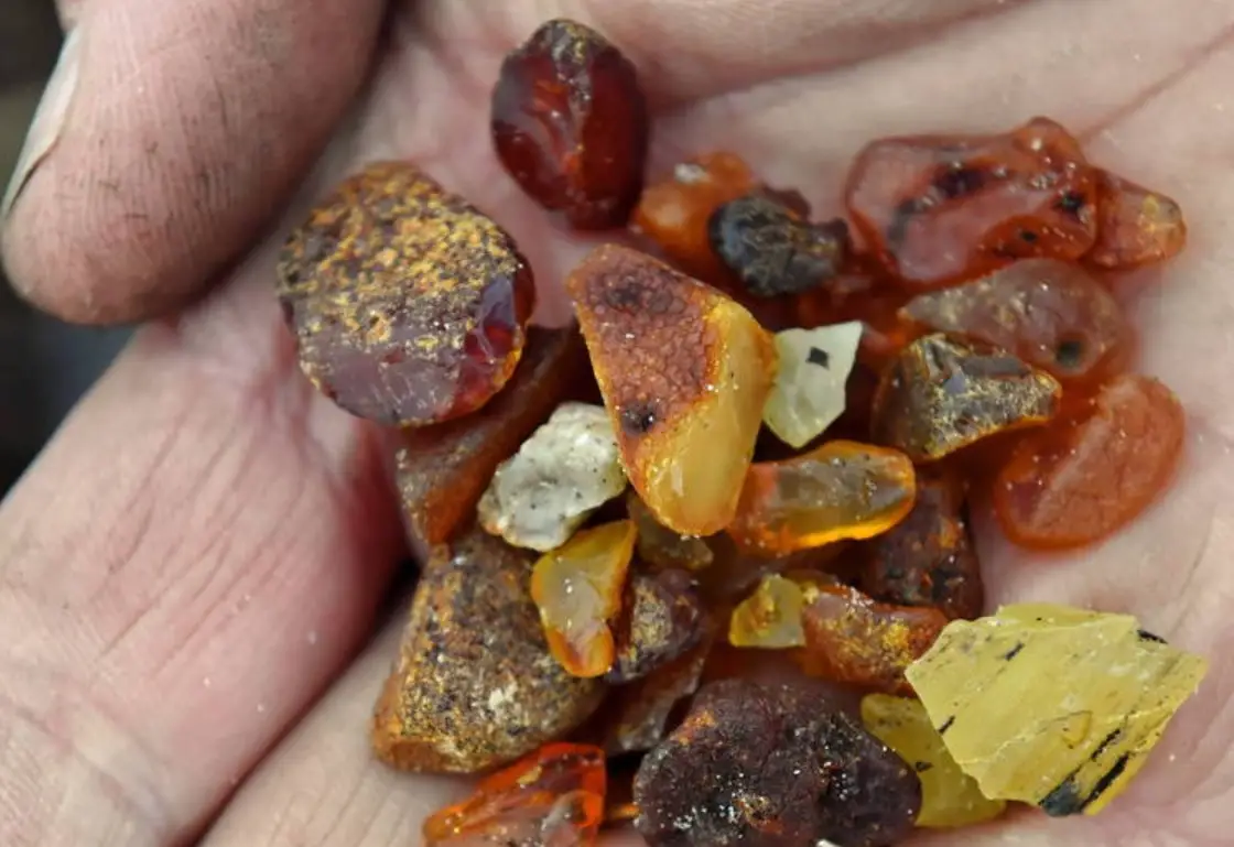 波羅的海琥珀真假