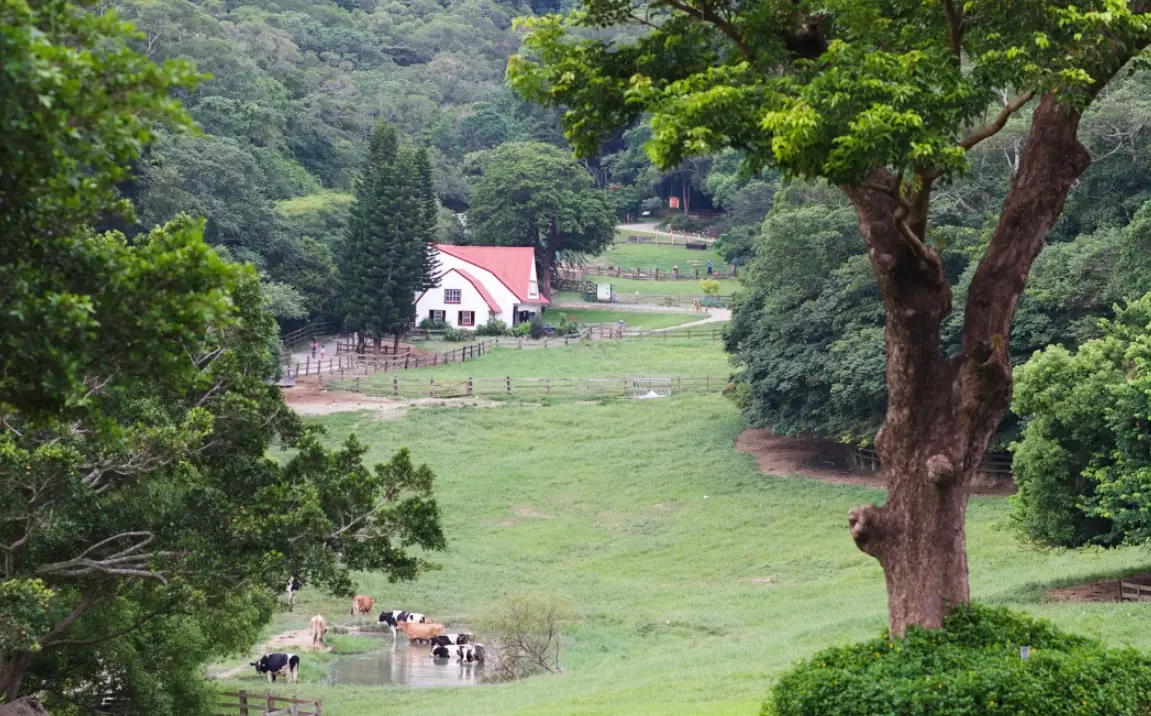 南投休閒農場行程