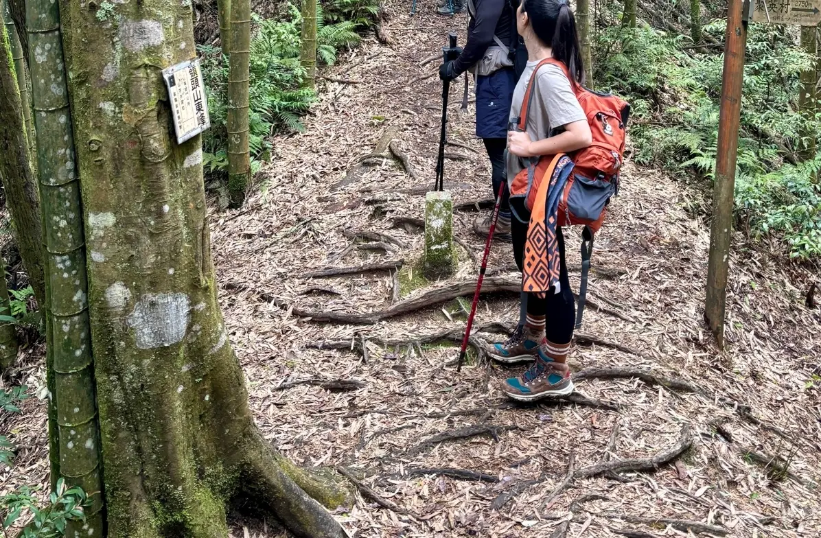 杉林溪森林遊樂區