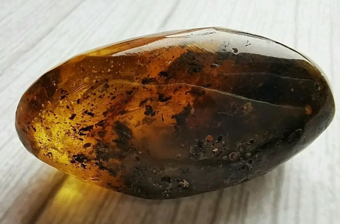 如何辨別琥珀真假