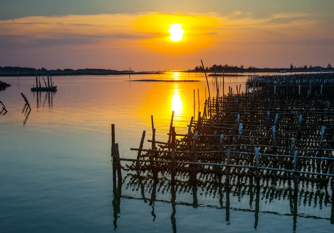 北門蘆竹溝夕陽