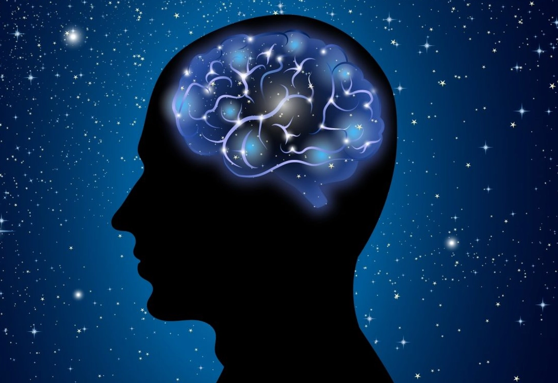 感覺記憶短期記憶長期記憶例子