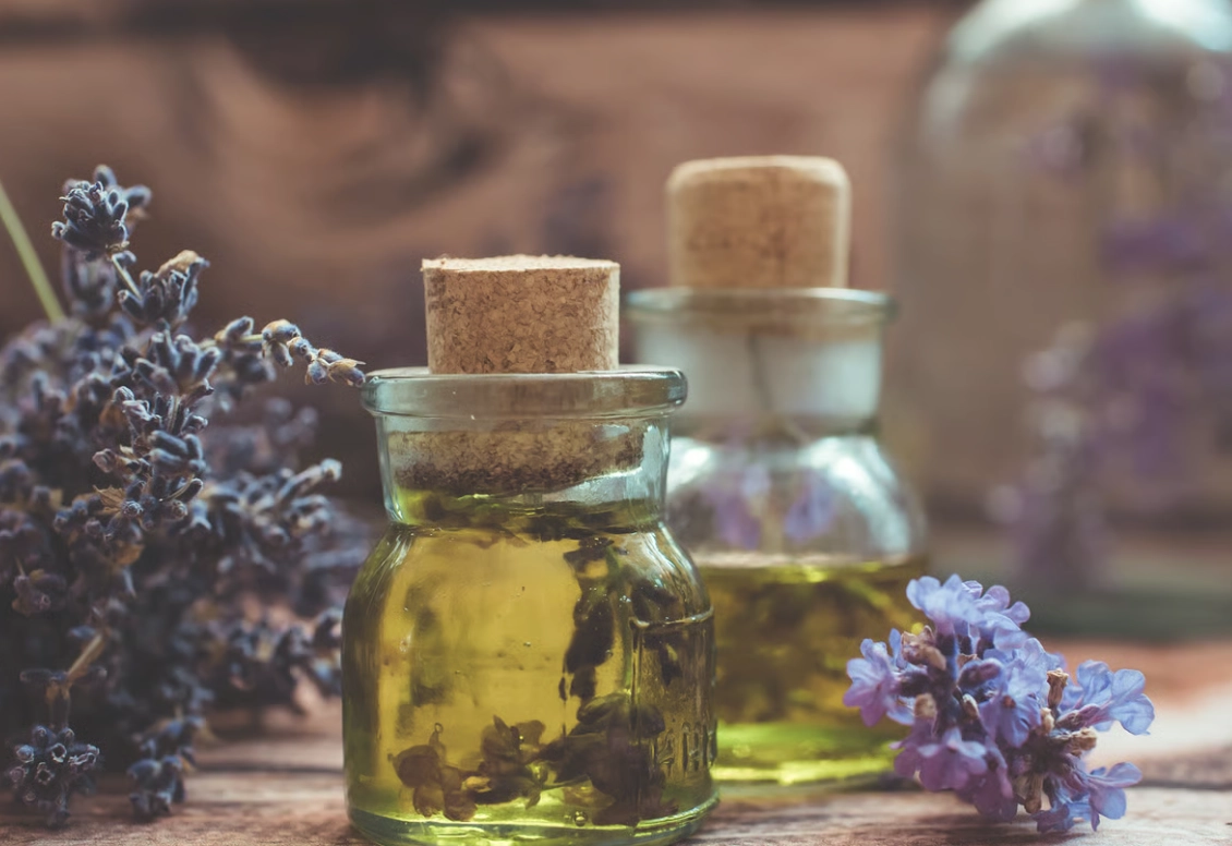 薰衣草精油 貓咪