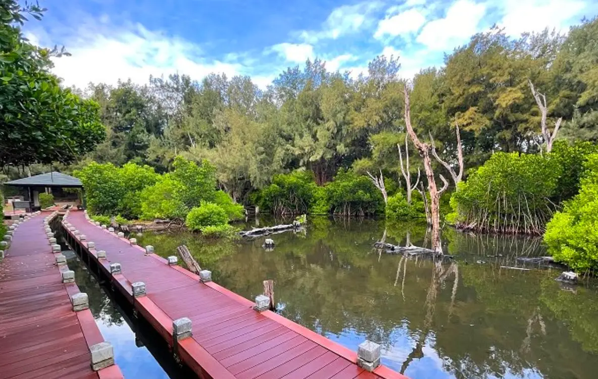 北門蘆竹溝夕陽