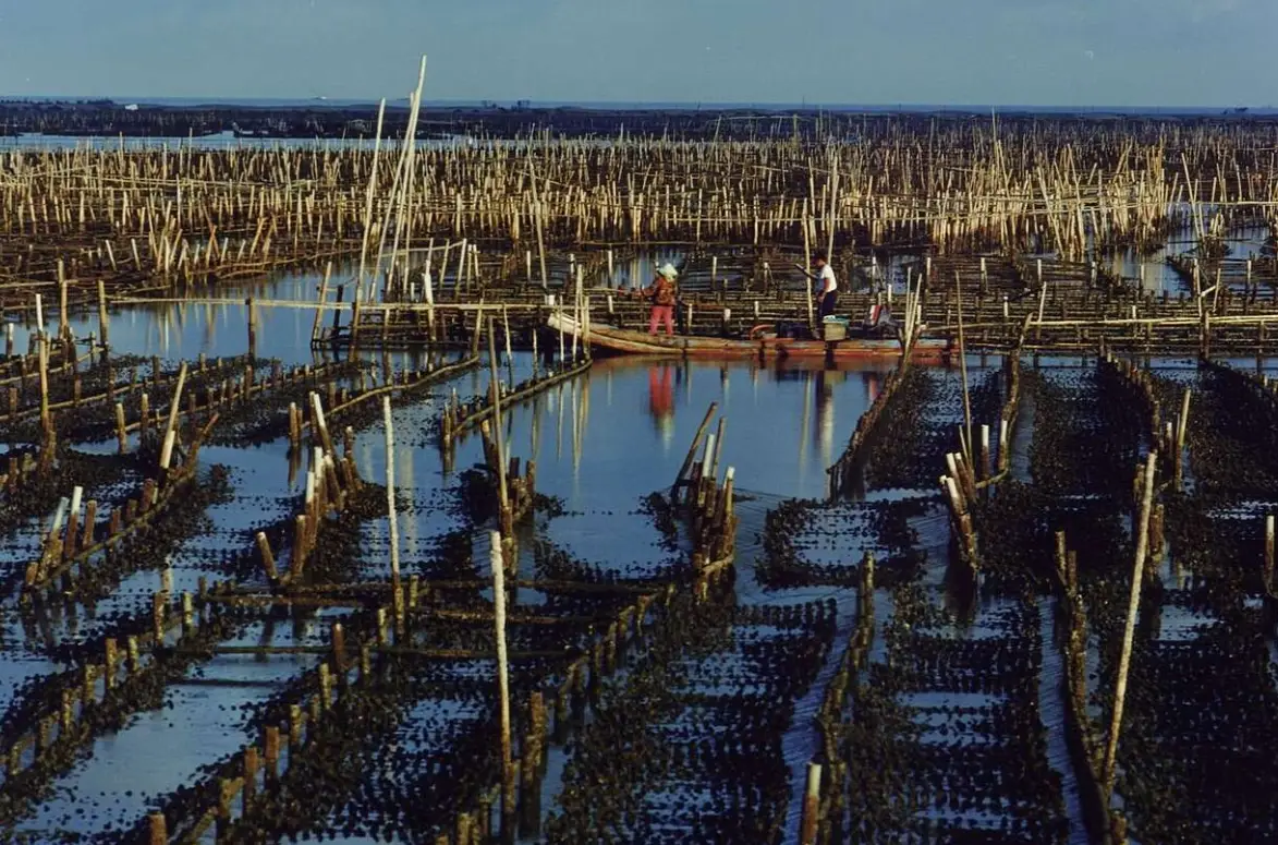 蘆竹溝潮汐時間