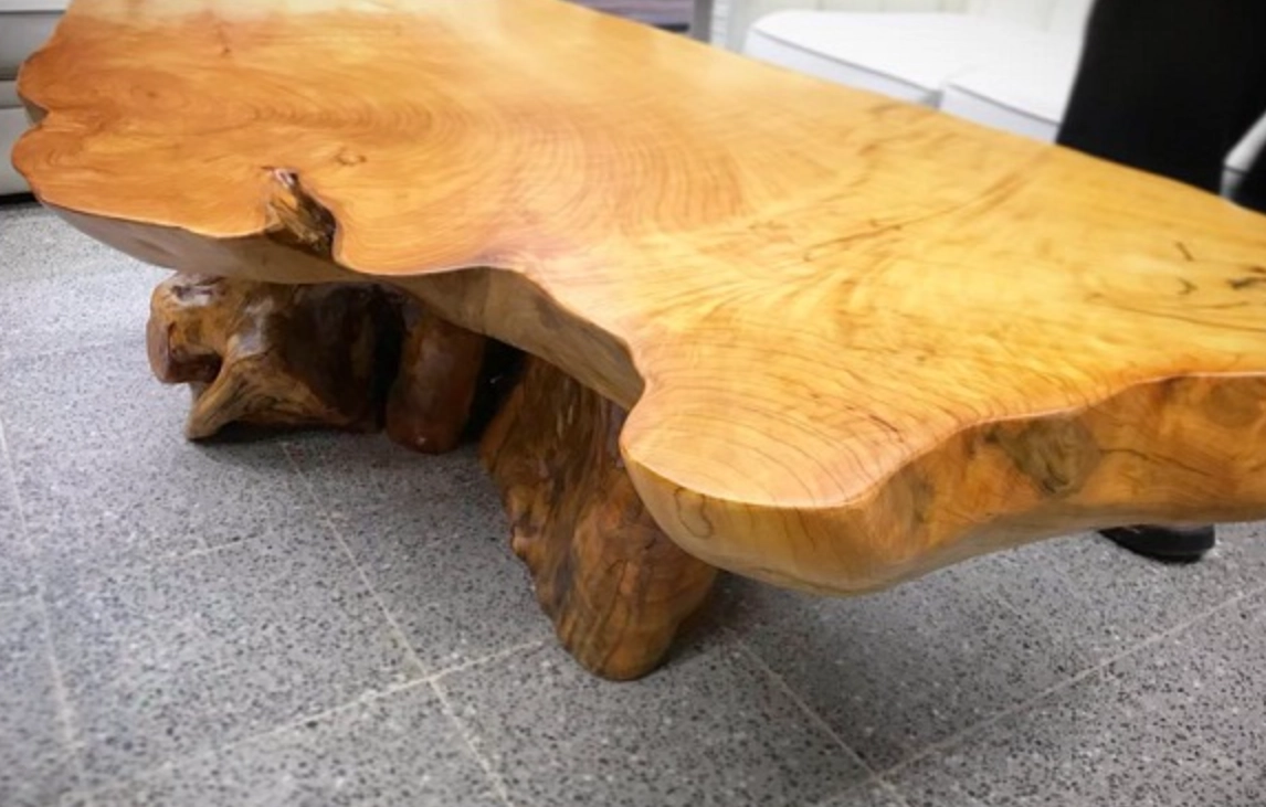 狗狗 檜木 中毒